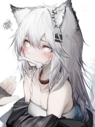 Rule 34 | 1girl, absurdres, animal ears, arknights, bare shoulders, black choker, blush, bone, breasts, choker, cleavage, grey eyes, hair between eyes, highres, lappland (arknights), long hair, mouth hold, silver hair, simple background, small breasts, solo focus, strapless, tab head, tube top, upper body, white background, wolf ears