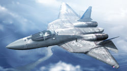 Rule 34 | 10s, 2014, ace combat, aircraft, airplane, artist name, camouflage, cloud, dated, day, digital camouflage, emblem, fighter jet, flying, jet, machinery, military, military vehicle, outdoors, pak fa, pilot, real life, realistic, signature, solo, vehicle focus, zephyr164