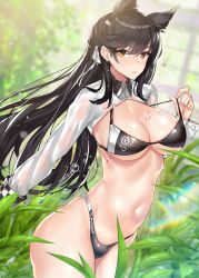 Rule 34 | 1girl, alternate costume, animal ears, ass, atago (azur lane), atago (stunning speedster) (azur lane), azur lane, bikini, black bikini, black hair, blurry, breasts, brown eyes, cleavage, collarbone, commentary, commentary request, depth of field, english commentary, ero waifu, from side, greenhouse, hair between eyes, hair ribbon, large breasts, long hair, looking at viewer, mole, mole under eye, navel, parted lips, pink lips, plant, race queen, rainbow, revision, ribbon, shiny skin, shrug (clothing), solo, stomach, strap pull, swimsuit, thighs, toned, water drop, wet, wet clothes, wolf ears, wrist cuffs