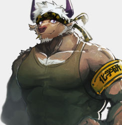 Rule 34 | 1boy, animal ears, bara, brown fur, camouflage, camouflage headwear, chest hair, covered abs, cow ears, cow horns, furry, furry male, green tank top, horns, large pectorals, looking at viewer, male focus, minotaur, mint, muscular, muscular male, neumo, pectoral cleavage, pectorals, purple eyes, purple horns, shennong (housamo), sidepec, smile, solo, tank top, tokyo houkago summoners, upper body, white hair