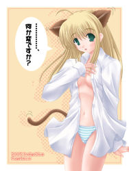 Rule 34 | 00s, aikawa fuugetsu, animal ears, artoria pendragon (all), artoria pendragon (fate), blouse, cat ears, fate/stay night, fate (series), open clothes, open shirt, panties, saber (fate), shirt, solo, striped clothes, striped panties, underwear