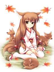 Rule 34 | animal ears, fox, fox ears, japanese clothes, kimono, long hair, miko, tail, thighhighs
