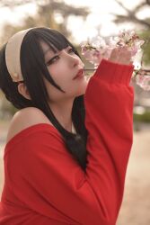 Rule 34 | 1girl, azumilk, black hair, blurry, blurry background, brown hairband, cherry blossoms, cosplay photo, flower, from side, hair behind ear, hairband, highres, looking at viewer, off-shoulder sweater, off shoulder, parted lips, photo (medium), pink flower, red sweater, short hair with long locks, smile, solo, spy x family, sweater, yor briar