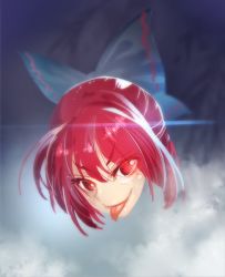 Rule 34 | 1girl, bow, disembodied head, hair bow, looking at viewer, nukekubi, red eyes, red hair, sekibanki, short hair, solo, tongue, tongue out, touhou, tsurime, zounose