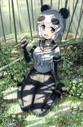 Rule 34 | 10s, 1girl, animal ears, arm support, ayatarosu, bamboo, bamboo forest, black eyes, black gloves, black pantyhose, black skirt, blush, boots, commentary request, dappled sunlight, day, elbow gloves, forest, giant panda (kemono friends), gloves, grass, highres, kemono friends, leaf, looking at viewer, nature, neckerchief, open mouth, outdoors, panda (kemono friends), panda ears, pantyhose, plant, pleated skirt, school uniform, serafuku, shade, short hair, short sleeves, sitting, skirt, smile, solo, sunlight, tree, tree shade, wariza, white hair