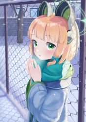 Rule 34 | 1girl, alternate costume, animal ears, blue archive, blunt bangs, blurry, cat ears, chain-link fence, coat, commentary request, depth of field, fake animal ears, fence, from side, green eyes, green scarf, hair ribbon, halo, highres, light brown hair, long sleeves, looking at viewer, looking to the side, midori (blue archive), own hands together, ribbon, scarf, short hair, sidelocks, snow, snowing, solo, ten can, tress ribbon, winter clothes, winter coat