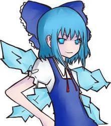 Rule 34 | 1girl, female focus, koshochka, lowres, solo, standing, tagme, touhou, upper body, white background
