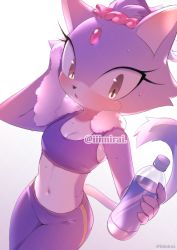 Rule 34 | 1girl, animal ears, bad id, bad pixiv id, blaze the cat, bottle, breasts, cat ears, cat girl, cat tail, cleavage, eyelashes, forehead jewel, furry, furry female, iiimirai, looking at viewer, navel, pants, purple fur, sleeveless, solo, sonic (series), sports bra, stomach, sweat, tail, towel, towel around neck, water bottle, wiping face, yoga pants