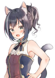 Rule 34 | 1girl, animal ear fluff, animal ears, bare arms, bare shoulders, black hair, blush, breasts, cat ears, cat girl, cat tail, commentary request, fang, green eyes, hand on own hip, karyl (princess connect!), midorikawa you, no detached sleeves, open mouth, ponytail, princess connect!, shirt, sidelocks, simple background, sleeveless, sleeveless shirt, small breasts, solo, tail, upper body, v-shaped eyebrows, white background, white shirt