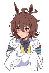 Rule 34 | 1girl, agnes tachyon (umamusume), ahoge, animal ears, black necktie, blush, closed mouth, commentary, crossed arms, hair between eyes, horse ears, lab coat, long sleeves, medium hair, necktie, red eyes, short necktie, simple background, sleeves past fingers, sleeves past wrists, solo, sweater vest, ulrich (tagaragakuin), umamusume, upper body, vest, white background, yellow vest