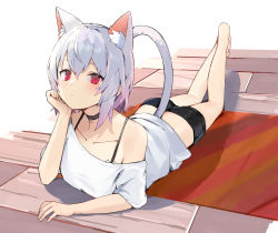 Rule 34 | 1girl, absurdres, animal ear fluff, animal ears, barefoot, cat ears, cat tail, choker, grey hair, hair between eyes, highres, looking at viewer, lying, medium hair, on stomach, original, red eyes, ryou (ponpgo), shorts, solo, tail
