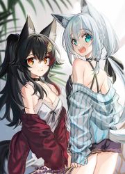 Rule 34 | 2girls, :d, animal ears, back, bare shoulders, black choker, black hair, black shirt, braid, breasts, camisole, choker, cleavage, cowboy shot, fox ears, fox girl, fox tail, green eyes, highres, holding, hololive, jacket, kawachi rin, long hair, long sleeves, looking at viewer, low ponytail, medium breasts, multiple girls, off shoulder, ookami mio, open clothes, open jacket, open mouth, ponytail, red eyes, red jacket, shirakami fubuki, shirt, sleeveless, sleeveless shirt, smile, spaghetti strap, tail, virtual youtuber, white hair, white jacket, white shirt, wolf ears, wolf girl, wolf tail