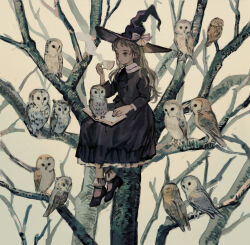 Rule 34 | animal, animal focus, animal on book, bare tree, barn owl, bird, bird on book, black dress, book, bow, commentary, cream background, cup, dress, english commentary, frilled dress, frills, hat, hat bow, highres, holding, holding cup, horned owl, in tree, long dress, long hair, on book, open book, original, outdoors, owl, peter pan collar, philia ell, pink bow, short bangs, steam, tono (rt0no), tree, witch, witch hat