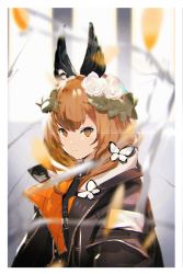 Rule 34 | 1girl, animal ears, black jacket, blurry, blurry foreground, bright pupils, brown eyes, brown hair, bug, butterfly, closed mouth, copyright request, depth of field, flower, hair flower, hair ornament, highres, bug, jacket, looking at viewer, medium hair, rose, so-bin, solo, white flower, white rose