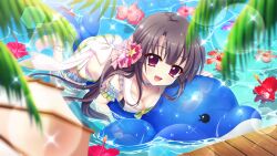 Rule 34 | 1girl, anklet, arm garter, back bow, bikini, black hair, blue ribbon, blurry, blurry foreground, boardwalk, bow, breast press, breasts, cleavage, collarbone, dot nose, film grain, flower, game cg, hair ornament, hibiscus, ichikishima mizuha, inflatable dolphin, inflatable toy, izumi tsubasu, jewelry, lens flare, long hair, looking at viewer, lying, medium breasts, neck ribbon, non-circular lens flare, non-web source, official art, on stomach, open mouth, pink flower, purple eyes, purple flower, re:stage!, red flower, ribbon, scrunchie, smile, solo, sparkle, star (symbol), straight hair, swimsuit, water, white bow, wrist scrunchie