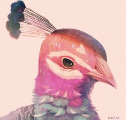 Rule 34 | animal, animal focus, bad id, bad pixiv id, bird, commentary request, feathers, heart, heart-shaped pupils, manino (mofuritaionaka), no humans, original, peacock, signature, solo, symbol-shaped pupils