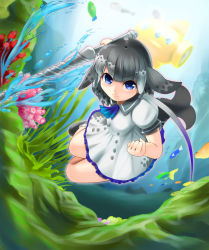 Rule 34 | 10s, blowhole, blue eyes, cetacean tail, commentary request, coral, fins, fish, fish tail, gradient hair, kemono friends, multicolored hair, narwhal (kemono friends), seaweed, solo, submarine, sword, tail, underwater, watame (amarygent), watercraft, weapon