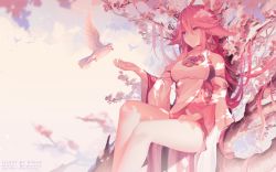 Rule 34 | 1girl, animal ears, bare legs, bare shoulders, bird, branch, breasts, cherry blossoms, closed mouth, commentary, detached sleeves, dove, dress, feet out of frame, flower, fox ears, from below, genshin impact, hair between eyes, japanese clothes, large breasts, long hair, long sleeves, looking at animal, pink flower, pink hair, priestess, purple eyes, rimuu, sitting, solo, thighs, tree, white dress, wide sleeves, yae miko