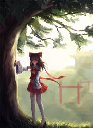 Rule 34 | 1girl, ascot, backlighting, bow, brown hair, detached sleeves, full body, grass, hair bow, hair tubes, hakurei reimu, hakurei shrine, highres, hill, light rays, long sleeves, looking to the side, miniskirt, newnand, red eyes, red skirt, ribbon-trimmed legwear, ribbon-trimmed sleeves, ribbon trim, shade, shoes, skirt, sleeveless, smile, solo, stairs, standing, sunbeam, sunlight, thighhighs, torii, touhou, tree, white thighhighs, wide sleeves, wind