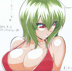Rule 34 | 1girl, absurdres, artist name, bad id, bad pixiv id, bare shoulders, breasts, cleavage, embarrassed, face, female focus, green hair, highres, kazami yuuka, large breasts, looking away, mattari yufi, red eyes, shikishi, short hair, solo, touhou, traditional media