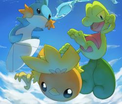 Rule 34 | black eyes, blue sky, cloud, cloudy sky, commentary, creature, creatures (company), day, english commentary, full body, game freak, gen 3 pokemon, looking at viewer, mudkip, nintendo, no humans, outdoors, pinkgermy, pokemon, pokemon (creature), sky, starter pokemon trio, torchic, treecko, water