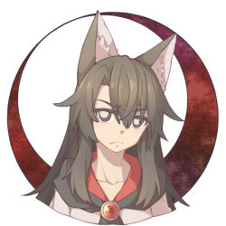 Rule 34 | 1girl, animal ears, bright pupils, brooch, brown hair, crescent, dress, imaizumi kagerou, jewelry, ko kita, long hair, red eyes, solo, touhou, white pupils, wolf ears
