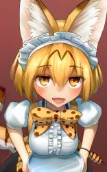 Rule 34 | 10s, 1girl, :d, adapted costume, alternate costume, animal ears, blonde hair, bow, breast rest, breasts, breasts on tray, carried breast rest, carrying, center frills, commentary request, enmaided, eyes visible through hair, frills, hair between eyes, highres, kemono friends, looking at viewer, maid, maid headdress, medium breasts, open mouth, orange eyes, print bow, puffy short sleeves, puffy sleeves, serval (kemono friends), serval print, serval tail, short hair, short sleeves, signature, simple background, smile, solo, tail, tray, welt (kinsei koutenkyoku)