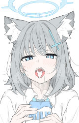 Rule 34 | 1girl, animal ear fluff, animal ears, blue archive, blue eyes, blue halo, blush, collared shirt, commentary, cross, cross hair ornament, earrings, extra ears, grey hair, hair ornament, halo, highres, holding, inverted cross, jewelry, looking at viewer, masabodo, milk, mismatched pupils, open mouth, sexually suggestive, shiroko (blue archive), shirt, short hair, simple background, solo, stud earrings, symbol-only commentary, teeth, upper body, upper teeth only, white background, white shirt, wolf ears, wolf girl