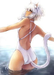 Rule 34 | 10s, 1girl, animal ears, ass, cat ears, cat girl, cat tail, facial mark, final fantasy, final fantasy xiv, from behind, green eyes, looking at viewer, looking back, makimura shunsuke, miqo&#039;te, one-piece swimsuit, outstretched arms, parted lips, profile, short hair, skindentation, solo, standing, submerged, swimsuit, tail, wading, water, wet, white hair, white one-piece swimsuit, y&#039;shtola rhul