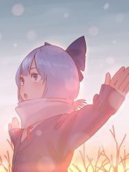 Rule 34 | 1girl, alternate costume, amino (tn7135), backlighting, bad id, bad pixiv id, bare tree, blue eyes, blue hair, blue sky, bow, cirno, coat, hair bow, looking afar, matching hair/eyes, open mouth, outdoors, outstretched arms, ribbon, scarf, short hair, sky, snow, snowing, solo, sunset, touhou, tree, upper body