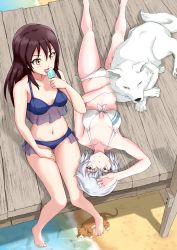 Rule 34 | 2girls, absurdres, aila paivikki linnamaa, bikini, blue bikini, blush, breasts, brown hair, cat, dog, eleonore giovanna gassion, food, highres, kuni-kun, large breasts, long hair, looking at another, luminous witches, multiple girls, navel, outdoors, popsicle, short hair, swimsuit, white bikini, white hair, world witches series, yellow eyes