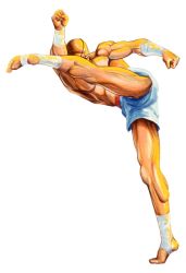 Rule 34 | 1990s (style), eyepatch, highres, kicking, male focus, muscular, official art, retro artstyle, sagat, shorts, street fighter, street fighter ii (series), yasuda akira