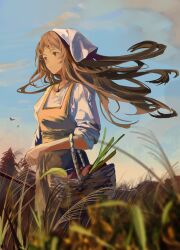 Rule 34 | 1girl, absurdres, basket, brown eyes, brown hair, cloud, evening, food, fruit, grass, highres, holding, holding basket, jenmin12, jewelry, long hair, looking to the side, necklace, original, solo, tall grass, wind