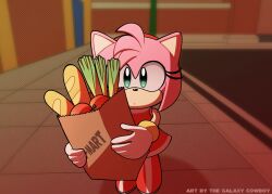 Rule 34 | 1boy, amy rose, apple, bag, baguette, boots, bread, derivative work, dress, food, fruit, furry, furry female, galaxy cowboy, gloves, green eyes, highres, looking at viewer, outdoors, paper bag, red dress, red footwear, screenshot redraw, sonic (series), sonic adventure, spring onion, white gloves
