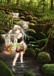 Rule 34 | 1girl, animal ears, bike shorts, cat ears, cat tail, floral print, flower, forest, grass, highres, japanese clothes, kimono, leaf, long hair, long sleeves, looking at viewer, moss, nature, obi, original, partially submerged, petals, red eyes, river, rock, sandals, sash, scenery, short kimono, silver hair, sleeves past wrists, socks, solo, standing, tail, twintails, wading, water, yakka