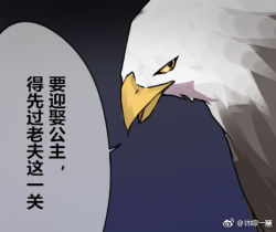 Rule 34 | animal, animal focus, azur lane, bald eagle, bird, chinese text, comic, eagle, lowres, no humans, simplified chinese text, translated, watermark, xiujia yihuizi