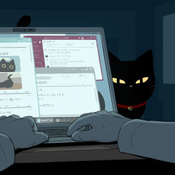 Rule 34 | 1other, absurdres, avogado6, bell, black cat, black fur, cat, collar, colored sclera, computer, desk, highres, indoors, jingle bell, laptop, long sleeves, looking at viewer, original, red collar, solid oval eyes, sweatdrop, whiskers