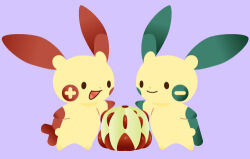 :d animal_focus closed_mouth creatures_(company) food fruit full_body game_freak gen_3_pokemon grey_background kyou_(karankoron) liechi_berry lowres minun minus_sign nintendo no_humans open_mouth plus_sign plusle pokemon pokemon_(creature) simple_background smile standing