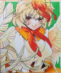 Rule 34 | absurdres, animal, animal on head, bird, blonde hair, blush, chick, chicken, feather hair, feathered wings, feathers, highres, neckerchief, niwatari kutaka, on head, orange eyes, orange feathers, orange hair, orange neckerchief, orange skirt, puffy short sleeves, puffy sleeves, short sleeves, simple background, skirt, smile, touhou, traditional media, two-tone background, whoru, wings, yellow feathers, yellow wings