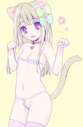 Rule 34 | 1girl, :3, :d, animal ears, bikini, blush, bow, breasts, cat ears, cat tail, cleavage, collar, fang, hair bow, heart, jpeg artifacts, micro bikini, navel, open mouth, original, paw pose, piyodera mucha, purple eyes, small breasts, smile, solo, swimsuit, tail, thighhighs