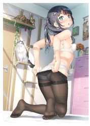 Rule 34 | 1girl, absurdres, arms behind back, ass, black hair, black pantyhose, blue eyes, blunt bangs, blush, bra, breasts, cat, clothes pull, cowboy shot, feet, full body, hair ornament, hair over shoulder, hairclip, highres, holding, holding clothes, holding legwear, indoors, kantoku, kneeling, leaning forward, long hair, open mouth, original, panties, panties under pantyhose, pantyhose, pantyhose pull, pulled by self, small breasts, solo, sunlight, thighband pantyhose, twintails, underwear, underwear only, white bra, white panties