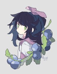 Rule 34 | 1girl, :o, black hair, blueberry, dated, food, fruit, green eyes, grey background, hair ribbon, hood, hood down, leaf, long hair, melanbread, open mouth, original, ponytail, ribbon, signature, simple background, solo