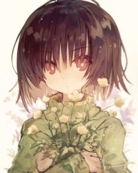 Rule 34 | 1other, androgynous, artist name, blunt bangs, bright pupils, buttercup (flower), chara (undertale), commentary, english commentary, expressionless, eyes visible through hair, flower, green sweater, hair between eyes, holding, holding flower, kasuga haruhi, light particles, long sleeves, red eyes, short hair, signature, simple background, sleeves past wrists, solo, spoilers, sweater, undertale, white background, white pupils