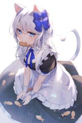Rule 34 | 1girl, animal ear fluff, animal ears, apron, biscuit (bread), black dress, blue bow, blue eyes, blue neckwear, blurry, blush, bokeh, bow, breasts, cat ears, cat girl, cat tail, closed mouth, collarbone, depth of field, dress, frills, hair between eyes, hair bow, highres, light particles, long hair, looking at viewer, maid, mouth hold, original, peta (snc7), short sleeves, silver hair, simple background, sitting, small breasts, solo, tail, tearing up, v arms, white apron, white background, wrist cuffs