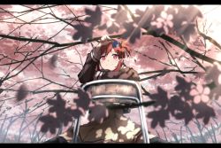 Rule 34 | 10s, 1girl, absurdres, bad id, bad pixiv id, beige dress, black thighhighs, blurry, blush, chair, cherry blossoms, closed mouth, day, depth of field, flower, hair ribbon, highres, holding, holding flower, letterboxed, long sleeves, mochi (m0chi0000), morning glory, outdoors, pleated skirt, red eyes, red hair, ribbon, short ponytail, side ponytail, sitting, skirt, smile, solo, spread legs, striped ribbon, sunlight, thighhighs, white ribbon, yuuki yuuna, yuuki yuuna wa yuusha de aru, yuusha de aru