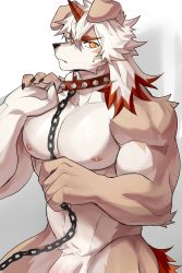 Rule 34 | 1boy, abs, animal collar, animal ears, ao (chung0u0), arknights, bara, brown fur, chain, collar, completely nude, dog boy, dog ears, flaccid, furry, furry male, highres, horns, hung (arknights), large pectorals, male focus, medium hair, multicolored hair, muscular, muscular male, nipples, nude, orange eyes, orange hair, out-of-frame censoring, pectorals, penis, penis peek, single horn, solo, stomach, streaked hair, sweatdrop, thighs, two-tone fur, white fur, white hair