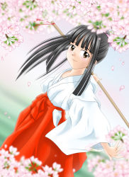 Rule 34 | aoyama motoko, black hair, brown eyes, cherry blossoms, chouko, japanese clothes, long hair, love hina, miko, petals, ponytail, solo, sword, weapon