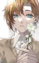 Rule 34 | 1boy, backlighting, blue eyes, brown hair, brown sweater, buttons, collared shirt, commentary, earrings, english commentary, eyelashes, fingernails, flower, hands up, highres, holding, holding flower, jewelry, kanae (nijisanji), lens flare, looking at viewer, male focus, mayu mey, mole, mole under eye, nijisanji, parted bangs, parted lips, shirt, short hair, sidelocks, single earring, solo, sparkle, sweater, upper body, virtual youtuber, white background, white flower, white shirt, wing collar