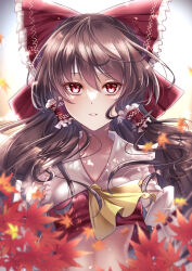 Rule 34 | 1girl, ascot, blurry, blurry foreground, bow, breasts, brown hair, collarbone, commentary, frilled bow, frilled hair tubes, frills, hair bow, hair tubes, hakurei reimu, highres, leaf, long hair, looking at viewer, maple leaf, mashiropuni, midriff, parted lips, print bow, red bow, red eyes, red ribbon, ribbon, ribbon-trimmed sleeves, ribbon trim, signature, small breasts, solo, stomach, touhou, upper body, yellow ascot