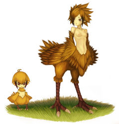 Rule 34 | 2girls, breasts, chibi, chicobo, chocobo, colored skin, feathers, final fantasy, harpy, monster girl, mother and daughter, multiple girls, nipples, personification, pointy ears, task (artist), yellow skin